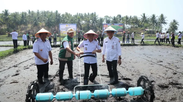 Tanam Padi Serempak PM-AAS Digelar di Minahasa Tenggara