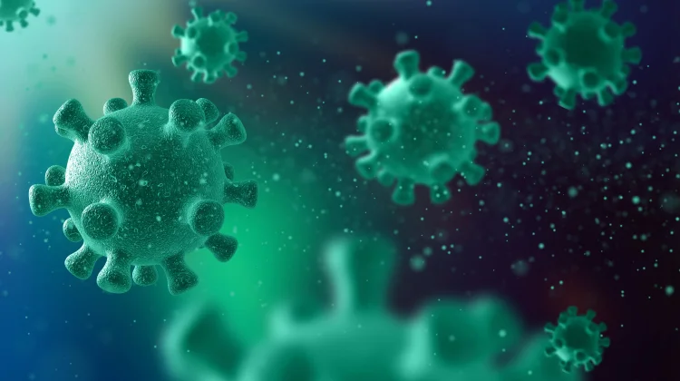 Kemenkes Catat Aktivitas Influenza Indonesia Masih dalam Level Medium