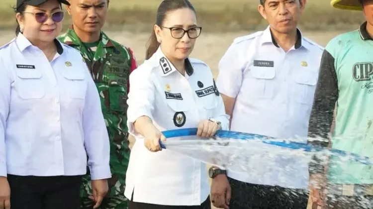 Tinjau Dampak El Nino di Minahasa, Sarundajang Dialog dengan Petani