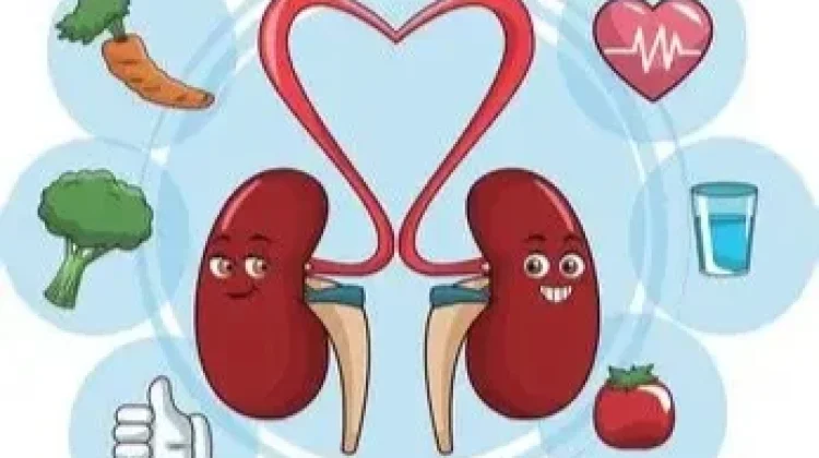 Langkah Sederhana Menjaga Ginjal Tetap Sehat Setiap Hari