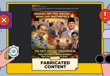 Hoaks Jokowi Resmi Jadi Wantimpres