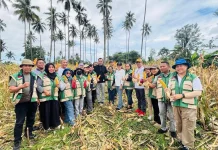 Panen Jagung Paniki Bukti Pertanian Kota Manado Masih Tumbuh