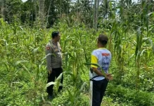 Polres Minut Perkuat Ketahanan Pangan Nasional