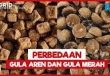 Mengenal Perbedaan Gula Merah dan Gula Aren