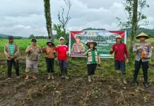 Sinergi Polri dan Kelompok Tani Nafiri, Tanam Jagung dI Desa Tempang Tiga