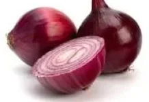 Manfaat Bawang Bombay Merah untuk Kesehatan Tubuh