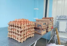 Harga Pangan Naik, Dapur MBG Kalooranta Waya Tetap Beroperasi