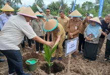 Tingkatkan Ekonomi Petani, Kabupaten Minut Dukung Hilirisasi Kelapa
