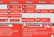 Layanan Posyandu Maret 2026, Puskesmas Tatelu Terapkan Metode ILP