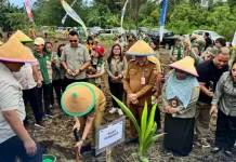 Kementan Genjot Replanting Kelapa di Sulut