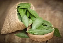 Manfaat Daun Pacar