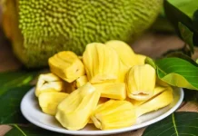 Ini Manfaat Buah Nangka untuk Kesehatan Tubuh