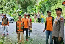 Kapolres Tomohon Pimpin Langsung Eksekusi Pohon Rawan Roboh