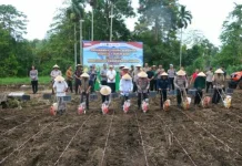 Polda Sulut Gelar Tanam Jagung Raya Serentak Kuartal I