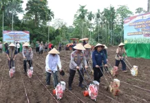 Polresta Manado Laksanakan Penanaman Jagung Raya Serentak Kuartal I 2026