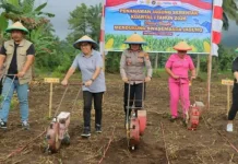 Polres Minut dan Forkopimda Tanam Jagung Serentak