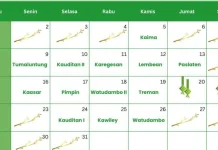 Ini Jadwal Pelayanan Posyandu UPTD Puskesmas Kauditan Maret 2026