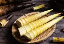 Sembilan Manfaat Rebung untuk Kesehatan Tubuh Anda