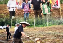 Penanaman Jagung dan Penyaluran Bibit Rica di Pandu Manado