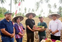 Kelompok Tani Solafide Tanam Jagung dan Terima Bibit Rica di Kelurahan Pandu