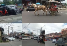 Libur Panjang Kawangkoan Ramai, UMKM Kebanjiran Rezeki