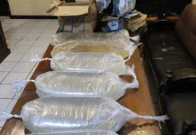 Polsek Pelabuhan Manado Amankan 75 Liter Cap Tikus di Area Pelabuhan