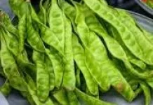 Manfaat Petai untuk Kesehatan Tubuh
