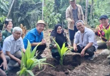 Dorong Produksi Kelapa, BRMP Palma Tanam Pohon di Skolah Pangan Likupang