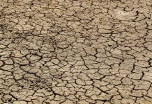 Mengapa disebut Godzilla El Nino, Ini Penjelasan BMKG