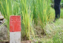 Cegah Konflik, Kantah Tomohon Ingatkan Pentingnya Pasang Tanda Batas Tanah