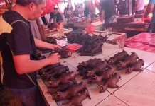 Jelang Paskah, Daging Extrim Banyak Diburu di Pasar Tomohon