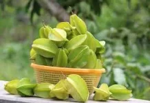 Buah Belimbing Kaya Nutrisi Antioksidan Pilihan Sehat