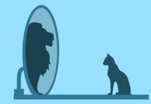 Cara Mengenali Seseorang dengan Narcissistic Personality Disorder (NPD)