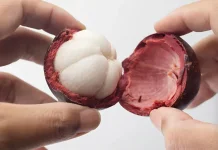 Manfaat Buah Manggis Bagi Kesehatan Tubuh