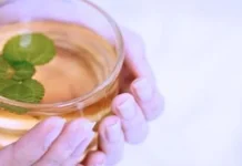 Tips Agar Diet Menu Rebusan Optimal