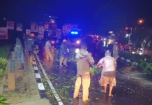 Gerak Cepat Polsek Mapanget Tangani Pohon Tumbang di Kairagi Satu