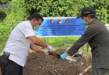 Karantina Sulut Musnahkan 102 Ayam Ilegal Asal Filipina, Cegah Ancaman Flu Burung