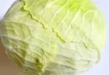 Manfaat Sayur Kol Bagi Kesehatan Tubuh