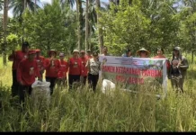 Ketahanan Pangan, Pemdes Lumpias Panen Jagung dan Padi Bersama Kecamatan Dimembe
