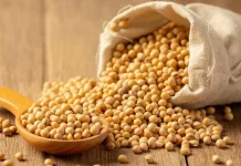 Pemerintah Pastikan Stok Kedelai Aman