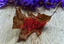 Rempah Eksotis, Saffron Bumbu Matahari Kaya Antioksidan