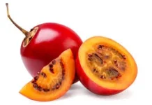 Rahasia Sehat Alami Jus Terong Belanda Kaya Nutrisi