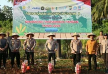 Dukung Swasembada Pangan 2026, Polresta Manado Tanam Jagung Serentak di Mapanget