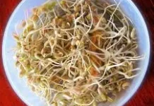 Toge Nutrisi Penting Pilihan Sehat bagi Ibu Hamil