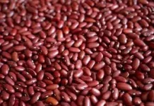 Kacang Merah, Superfood Sumber Zat Besi Bernutrisi untuk Ibu Hamil