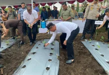 Pencanangan Gerakan Aparatur Sipil Negara (ASN) Menanam Cabai di Minsel