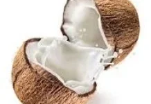 Santan Kelapa bagi Kesehatan, Konsumsi Wajar Jadi Kunci