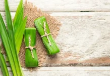 Manfaat Daun Pandan Untuk Kesehatan Tubuh