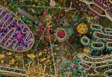 Cellular Landscape : Bukan Foto Biasa, Inilah Visual Detail Sel Manusia dalam Tubuh