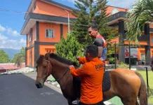 Tunjang Operasi SAR, Basarnas Sulut Gelar Latihan Berkuda